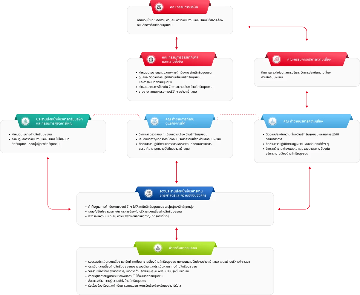 Human rights governance structure