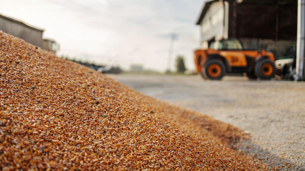 Songkhla Biofuel Co., Ltd.