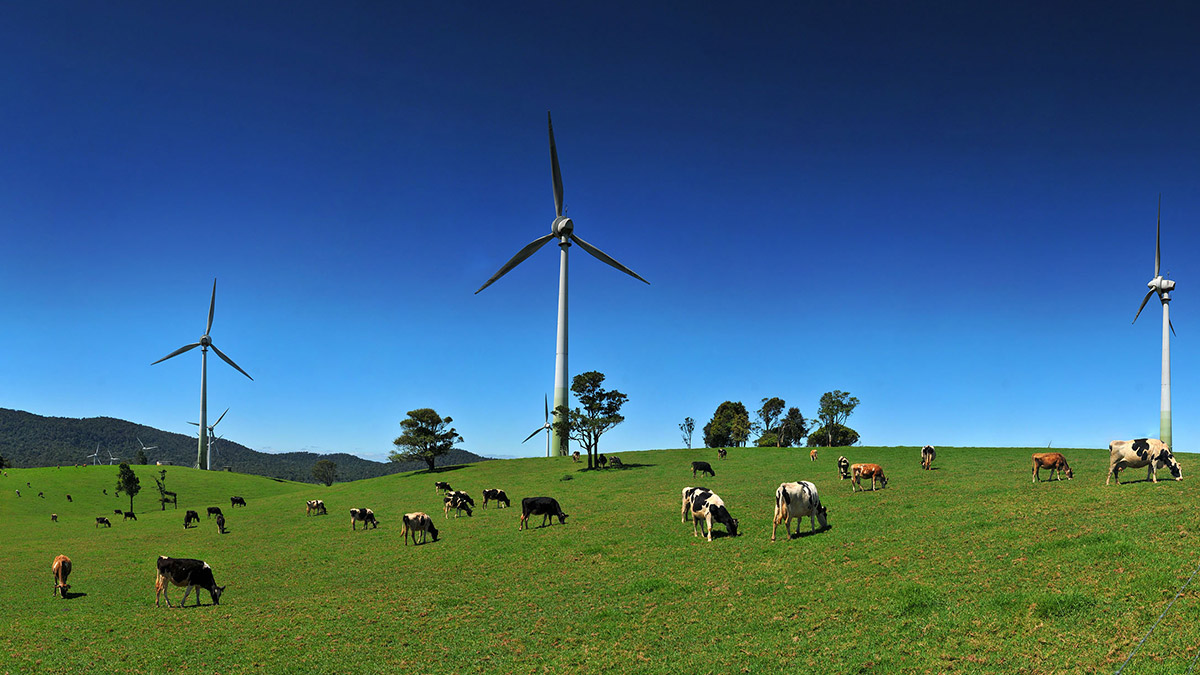 Windy Hill Wind Power Project