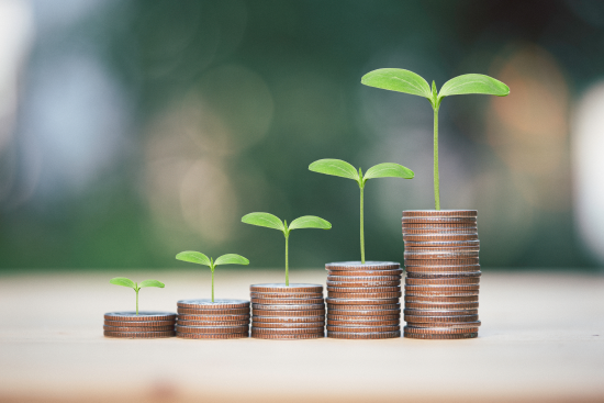 Dividend Policy & payment